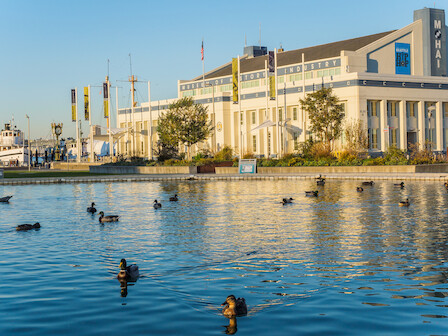 A large building by a waterfront with a ship nearby, flags flying, and ducks swimming, under a clear blue sky.