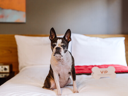 Hotel Max